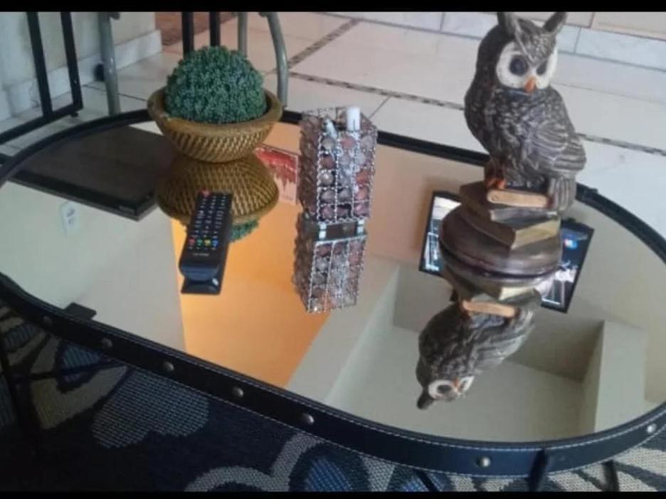 Hostel Sil Cardoso Blumenau Dış mekan fotoğraf